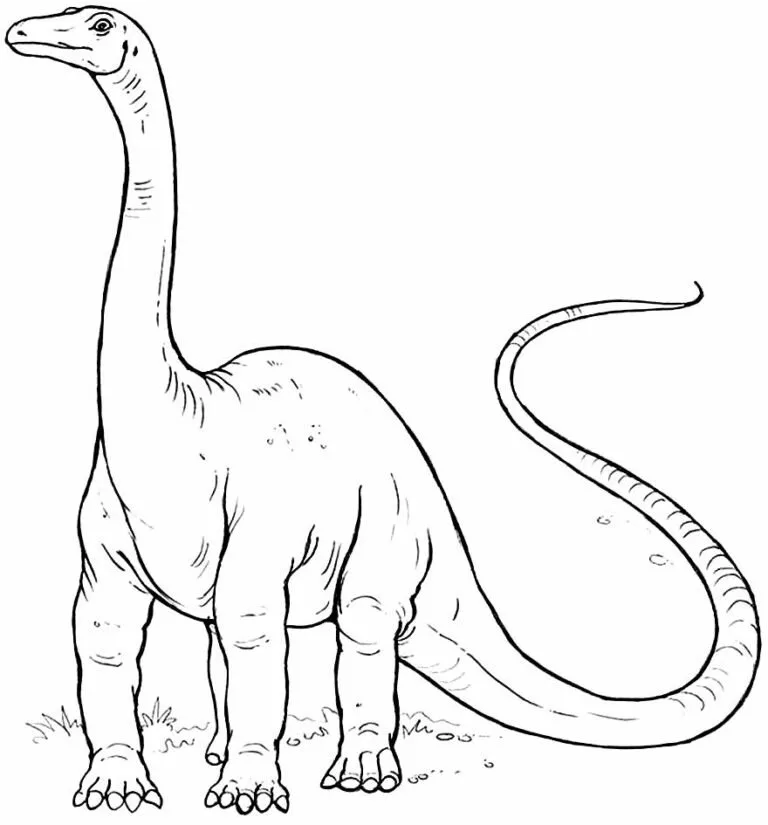 Free Imagens De Dinossauros Para Imprimir E Colorir Worksheet for Kids Part 10