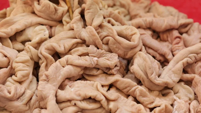 Free Pattern Recognition Worksheets For Preschool Worksheet for Kids Part 17